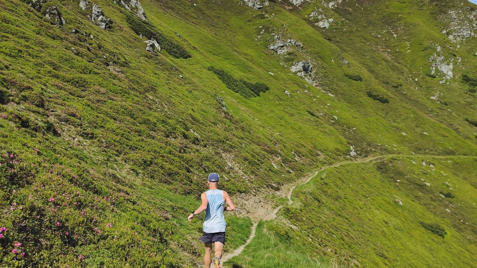 Coureur sur un sentier de montagne verdoyant
